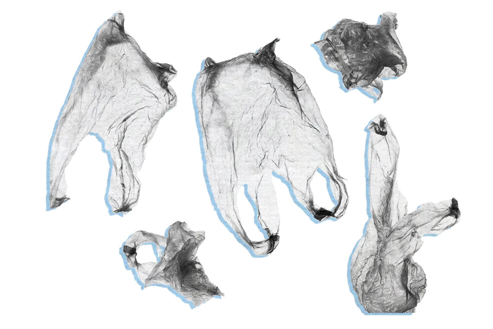 With no recycling, what should you do with your plastic bags and pasta packets?