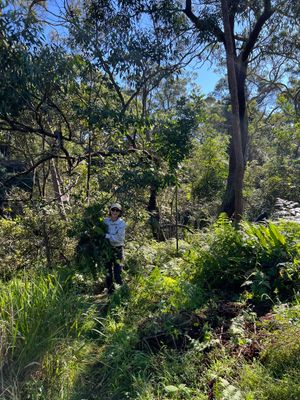 250524_MermaidPoolsDixUp_ManlyVale_NSW.+(16)-400h