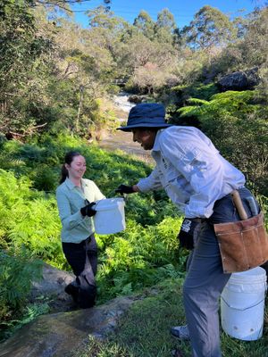 250524_MermaidPoolsDixUp_ManlyVale_NSW.+(5)-400h