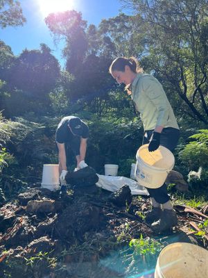 250524_MermaidPoolsDixUp_ManlyVale_NSW.+(8)-400h