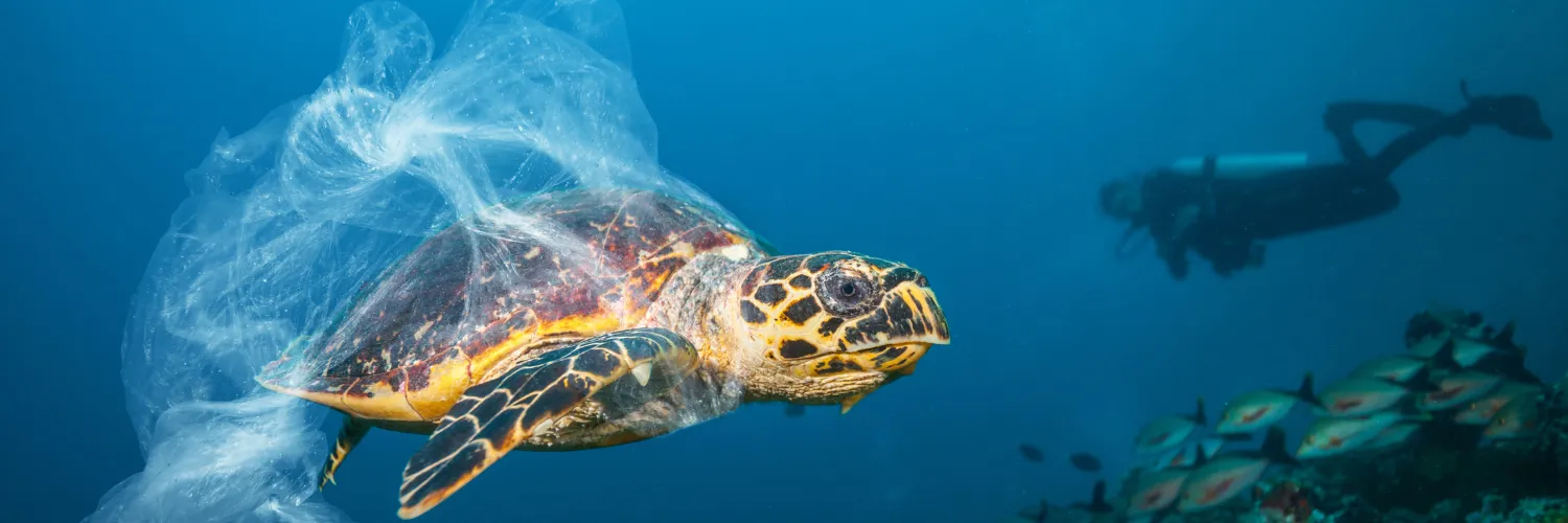 Drowning in plastic waste: A global and local problem
