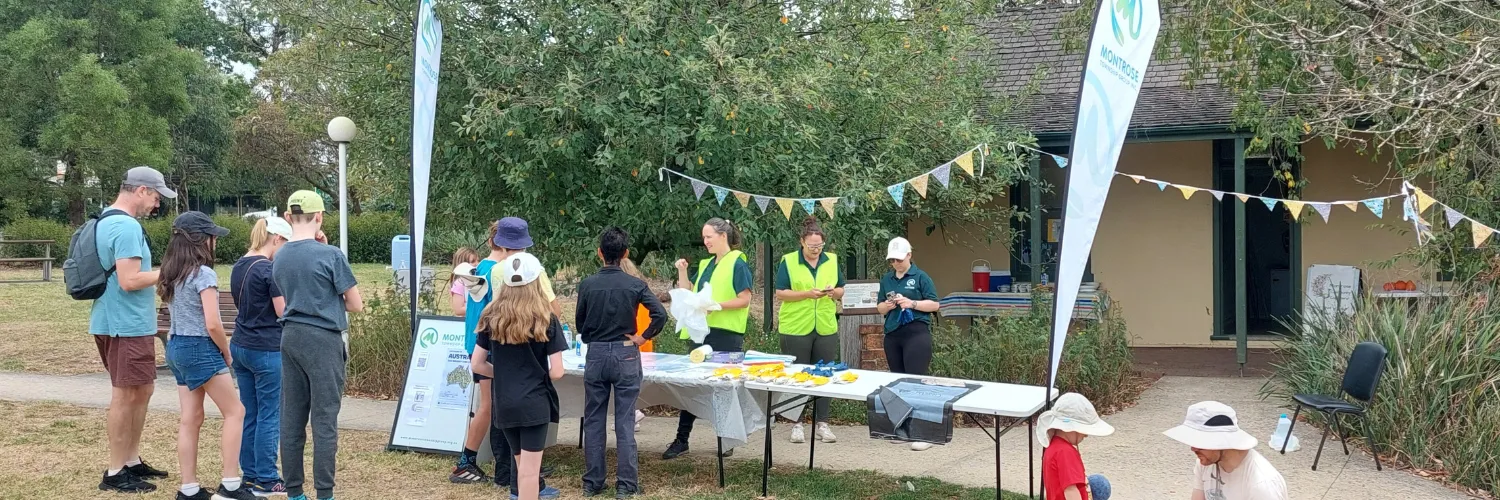 Montrose community Clean Up