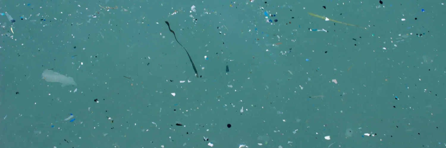 Microplastics