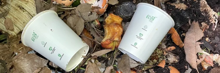 Compostable plastics