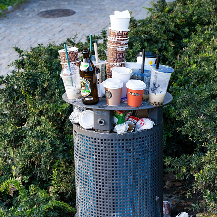 litter-advocacy-projects.