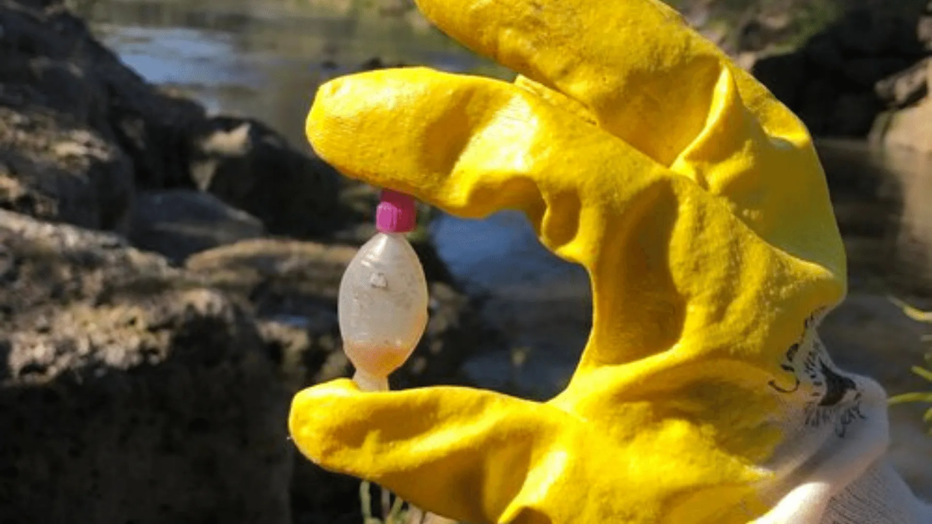 Curious about plogging?