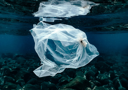 Plastic Bags – Frequently Asked Questions