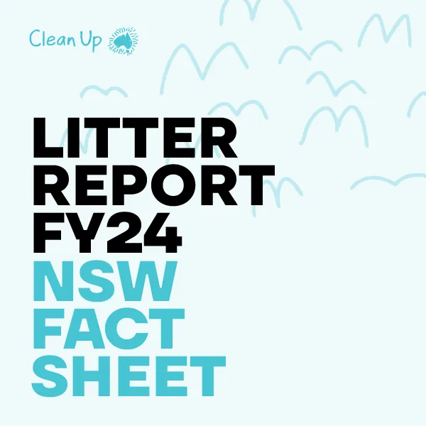 Litter Report FY24 NSW Fact Sheet