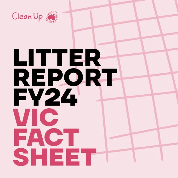 Litter Report FY24 VIC Fact Sheet