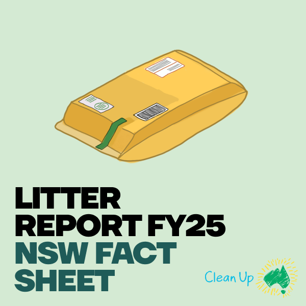 Litter Report FY25 – NSW Fact Sheet