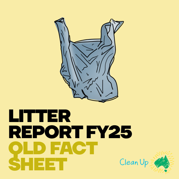 Litter Report FY25 – QLD Fact Sheet