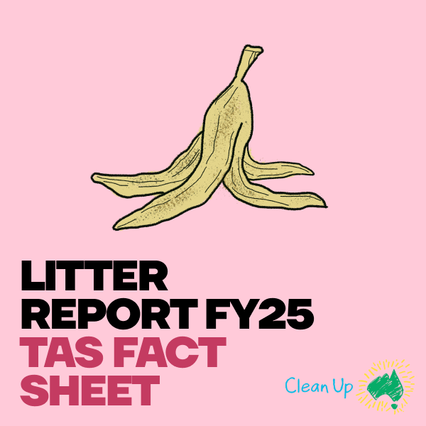 Litter Report FY25 – TAS Fact Sheet
